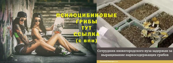 дмт Алексин